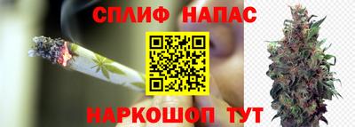 сатива Заволжье
