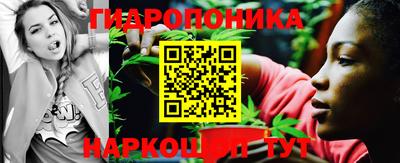 хмурый Бийск