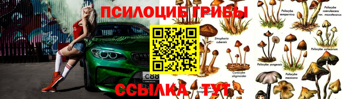 Добрянка  Галлюциногенные грибы ЛСД  Вход с VPN 