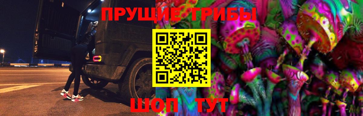Галлюциногенные грибы GOLDEN TEACHER  Галлюциногенные грибы Psilocybe  где купить наркотик  Добрянка 
