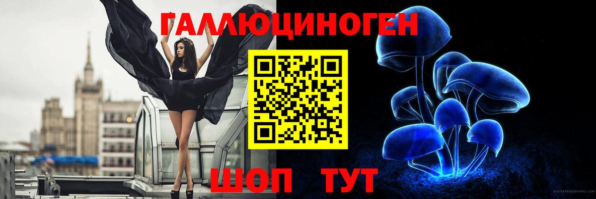 Псилоцибиновые грибы GOLDEN TEACHER Добрянка